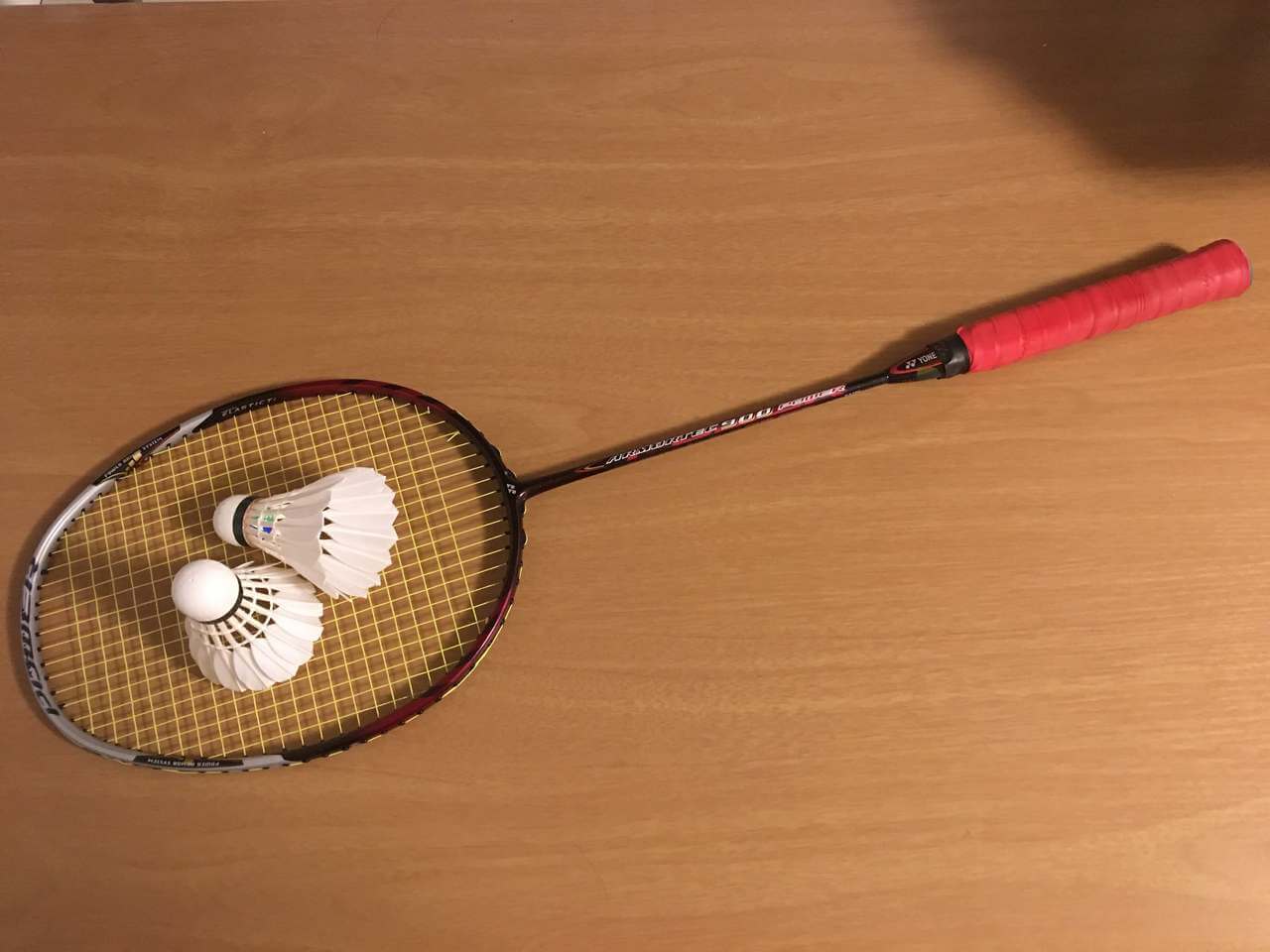 tennis racket with birdie