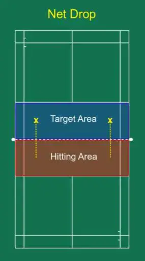 Net drop hitting and target area