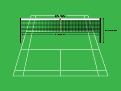 Badminton Net