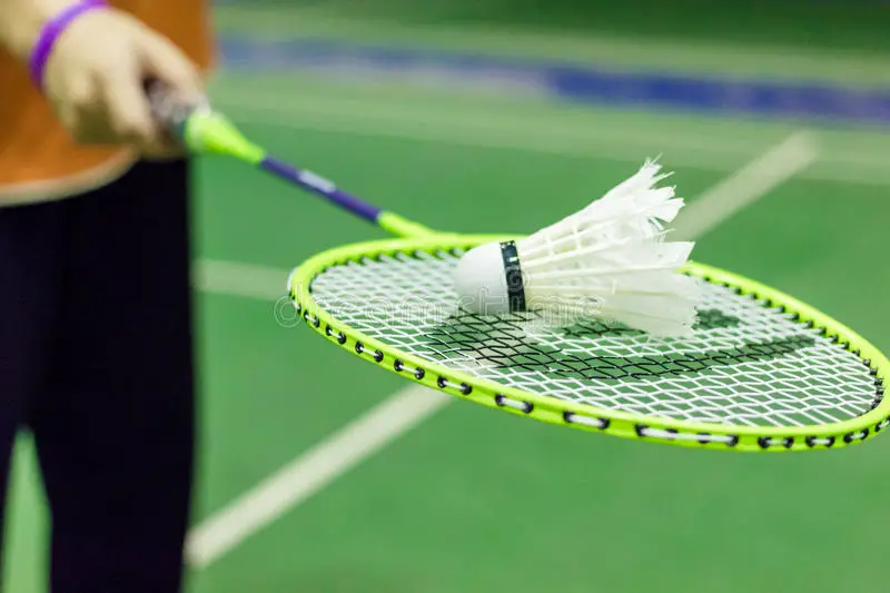 Badminton Shuttlecock Saver Life Extender,Feather Saver,Durability,longer life 