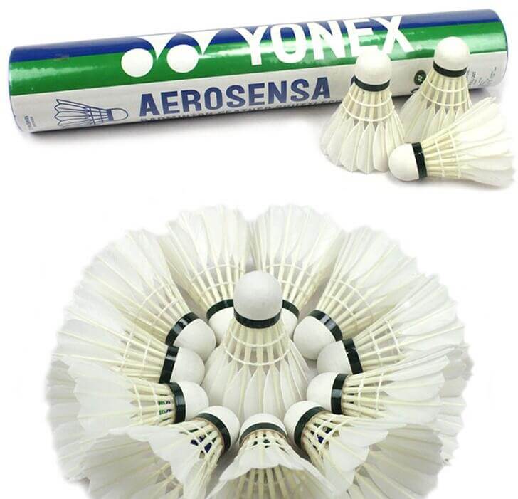 Alomejor 12PCS Badminton Shuttlecocks Advanced Duck Feather Badminton Balls Shuttlecocks with Great Stability and Durability for Indoor and Outdoor Games