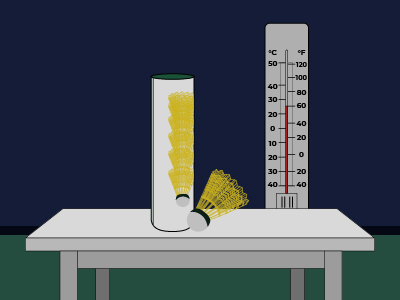 Shuttlecock at Room Temperature