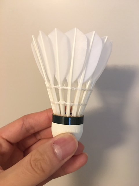 New AS-30 Vertical
