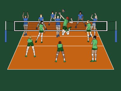 Volleyball Match