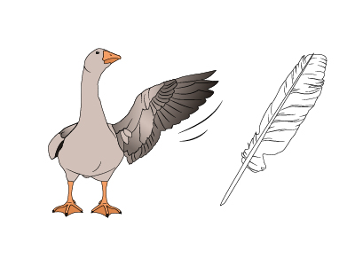 Goose Feathers