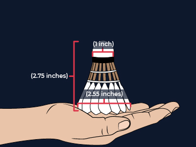 Size of a Shuttlecock