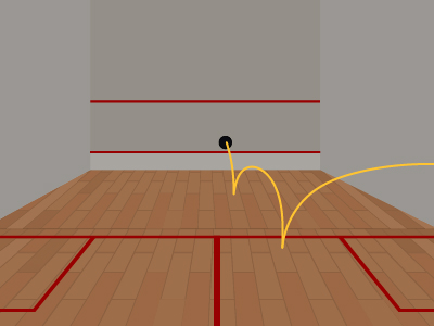 Squash Ball Bouncing Twice