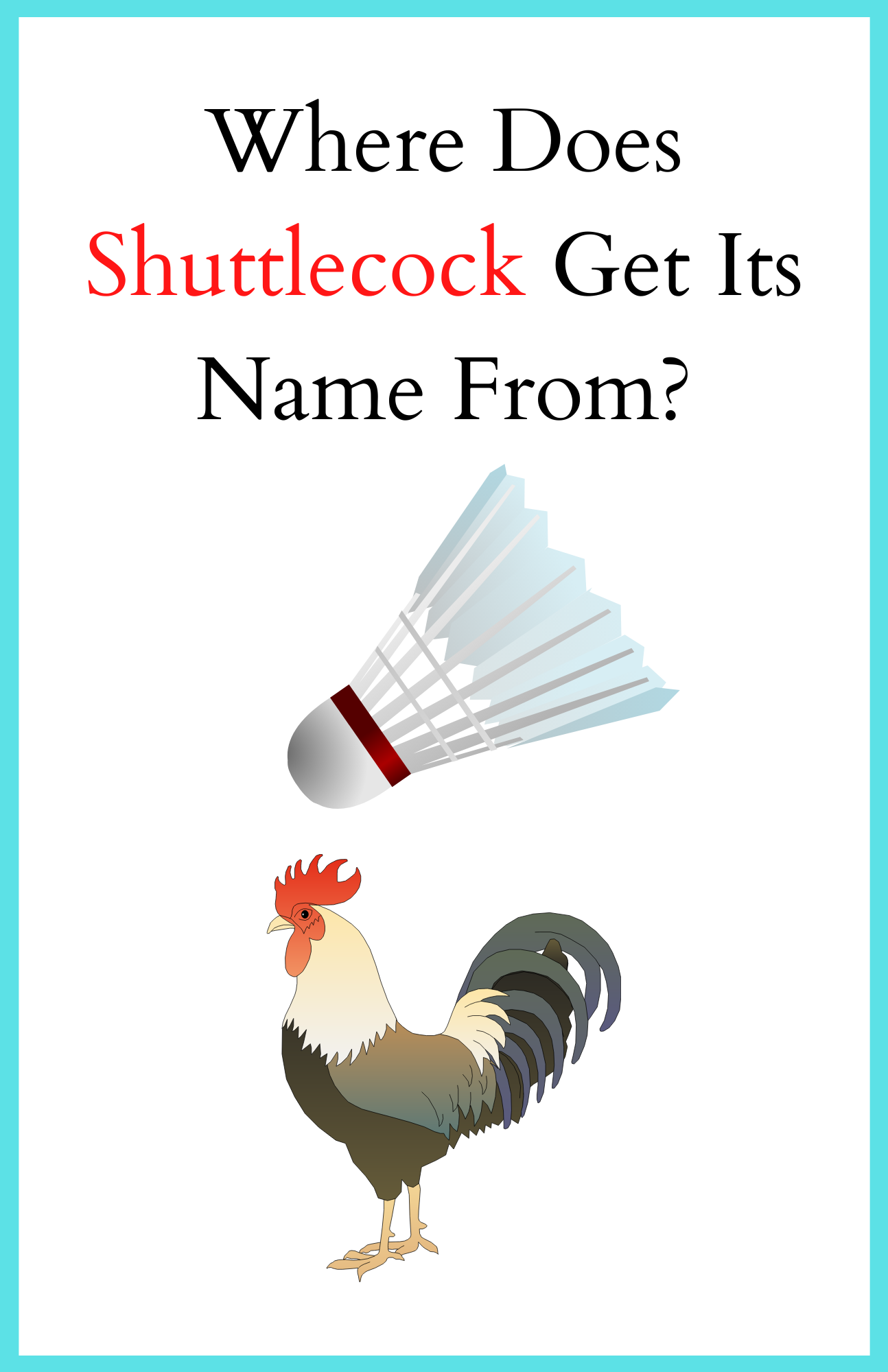 where-does-shuttlecock-get-its-name-from-badmintonbites