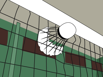 Shuttlecock Suspended On The Net