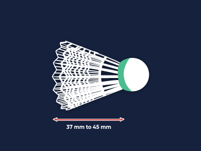 Length of the Plastic Skirt