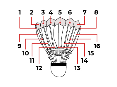 16 Feathers