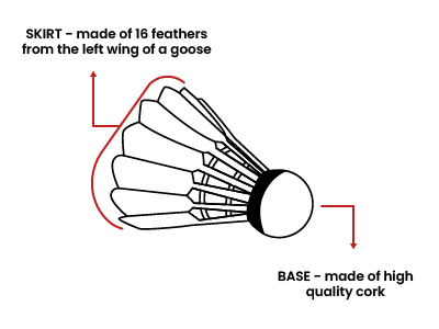 Parts of the Birdie