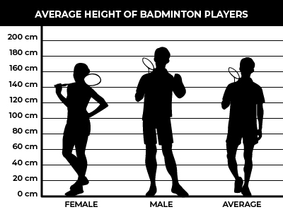 Average Height of Badminton Players