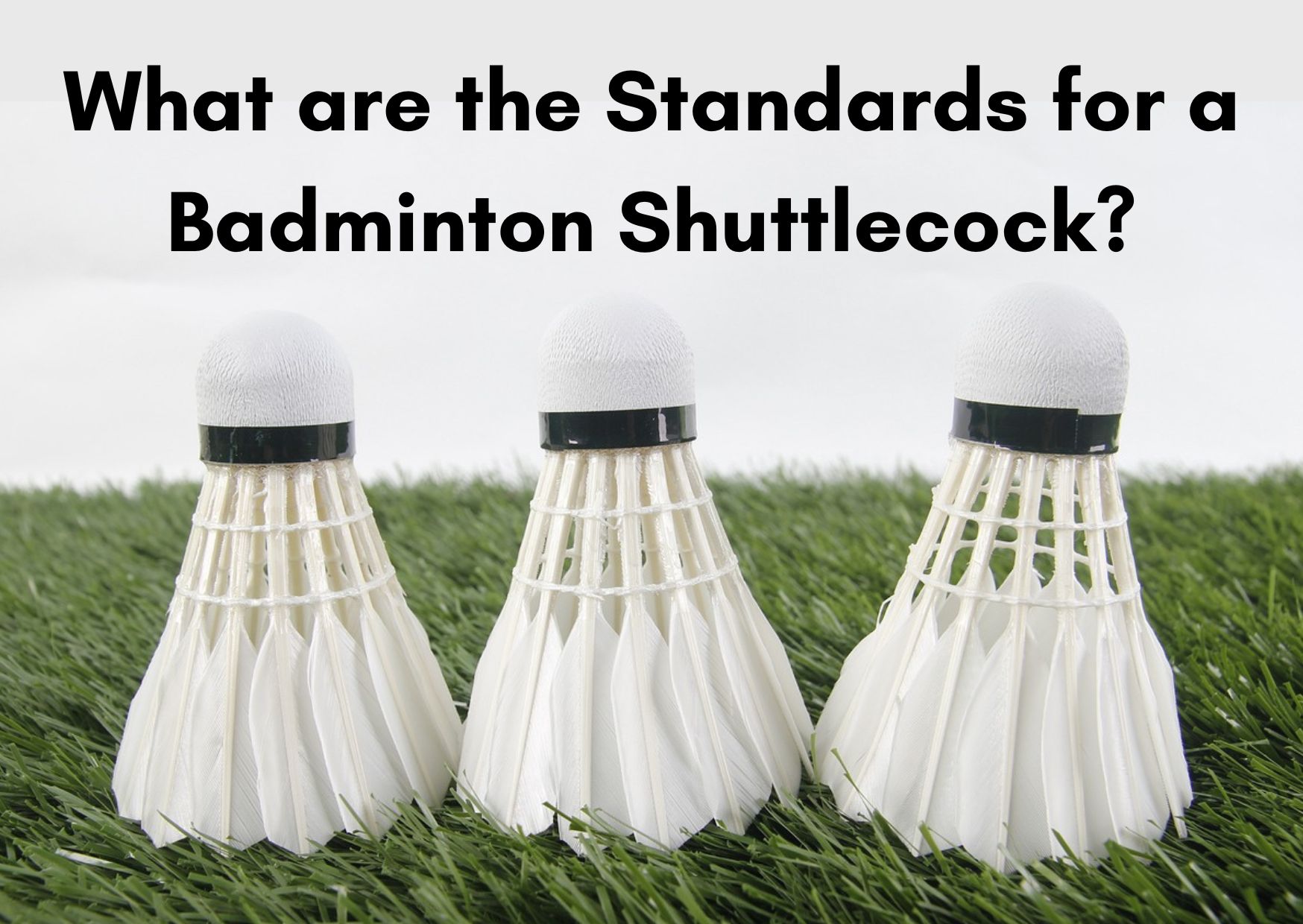 What Are The Standards For A Badminton Shuttlecock? - BadmintonBites